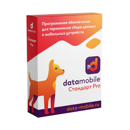 DataMobile Стандарт Pro - подписка на 6 месяцев